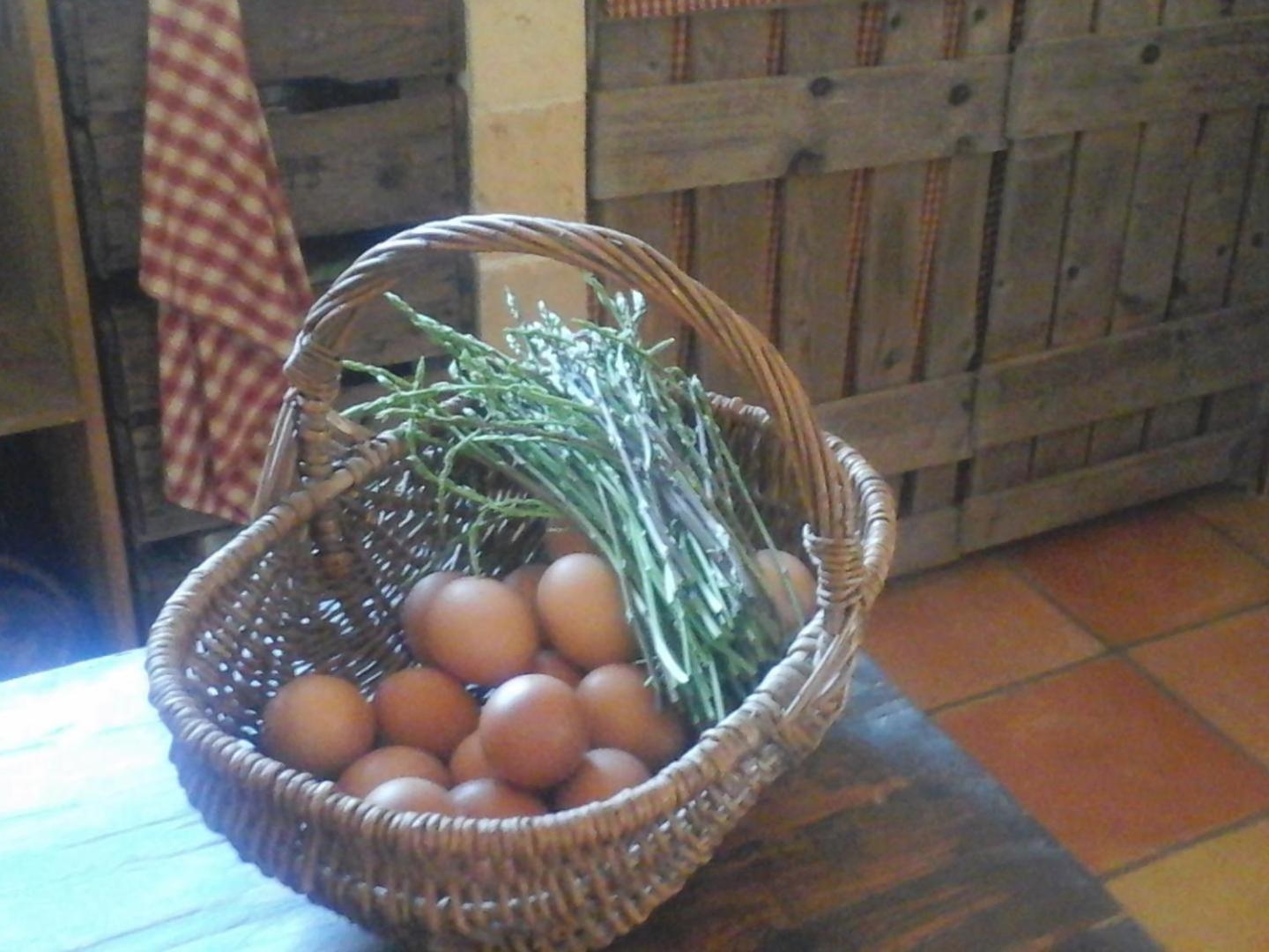 La Maison De Campagne Carcès Exteriér fotografie